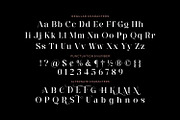 Eko Ringlos - Beautiful Serif Font, a Serif Font by Imoodev (Thumbnail 5 of 5)