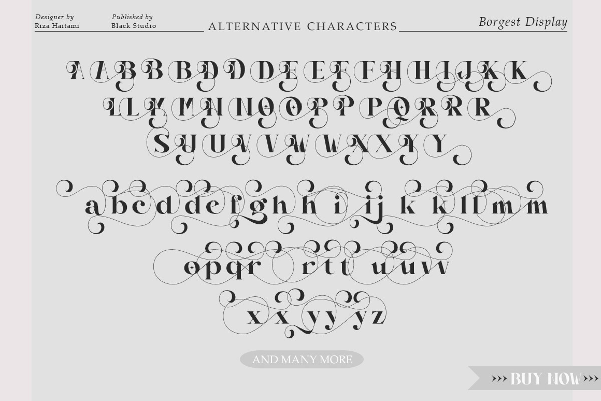 Borgest Display, a Serif Font by Black Studio (Photo 11 of 15)