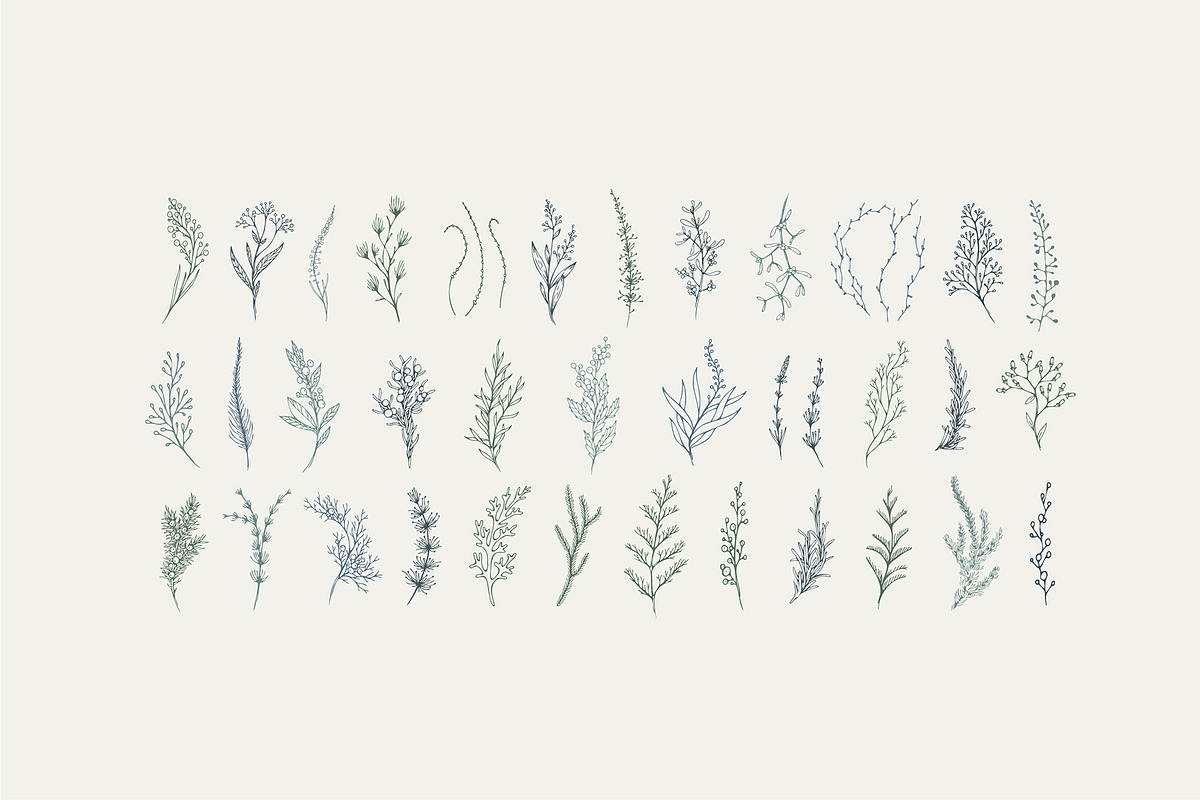 Winter Foliage collection, a Decorative Illustration by Merfin (Photo 9 of 14)