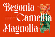 Magitals Glowing Modern Serif, a Serif Font by timelesstype.co (Thumbnail 8 of 20)