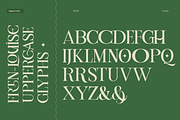 Louise - Elegant Ligatures Serif, a Serif Font by Fortunes Co (Thumbnail 5 of 14)