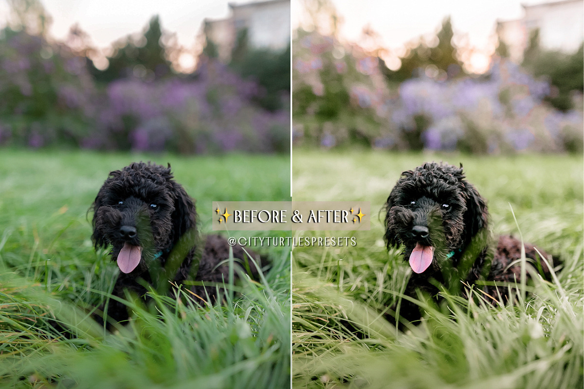 ESSENTIALS Lightroom Preset Bundle, a Preset Add-On by CityTurtles (Photo 6 of 9)