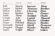 Briselle, a Serif Font by Propertype (Thumbnail 6 of 15)