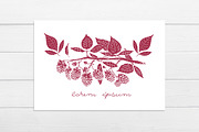 Raspberry Vector Collection, a Food Illustration by Lubov Illustrations Shop (Thumbnail 5 of 5)
