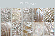 Pearlescent Relics: Collage Kit, an Object Graphic by TiriCo (Thumbnail 7 of 15)
