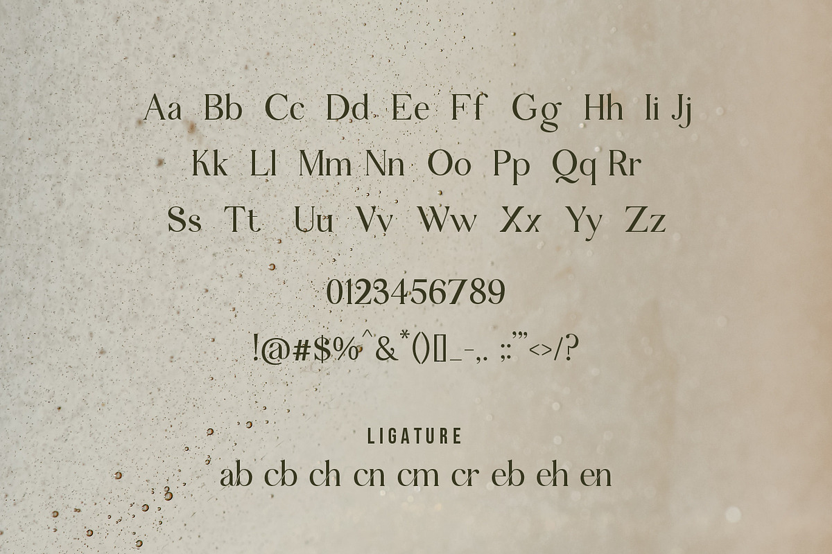 Fernon - Modern Serif Font, a Serif Font by PROF STUDIO (Photo 3 of 7)