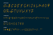 Hole script, a Script Font by LetterStock (Thumbnail 7 of 8)