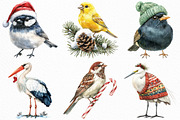 Christmas Birds Sublimation Clipart, an Illustration by Craft Nest (Thumbnail 5 of 6)