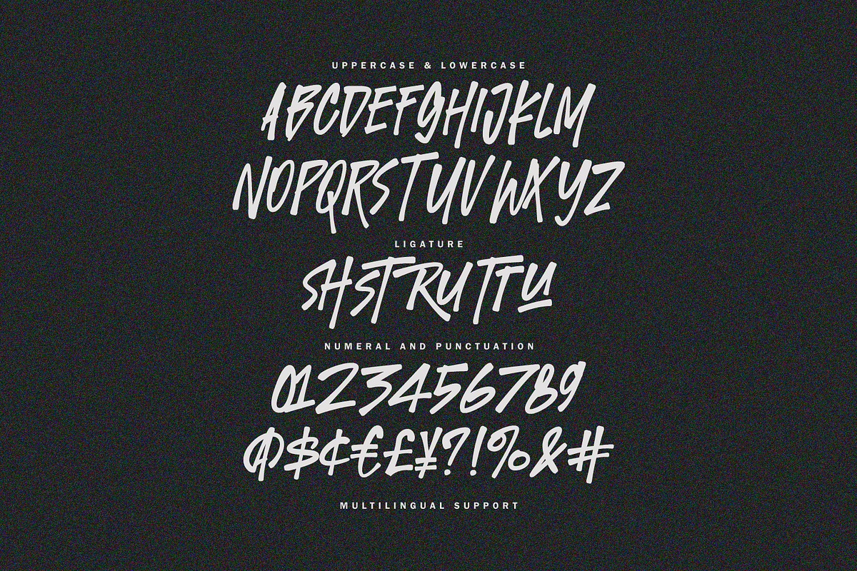 Twicked Panther Dynamic Handpainted, a Handwritten Font by Maulana Creative (Photo 4 of 7)