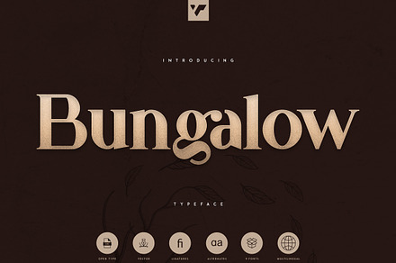Bungalow Typeface - 9 fonts, a Serif Font by VP Fonts