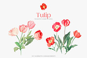 watercolor clipart tulip set, a Decorative Illustration by Patishop Art (Thumbnail 4 of 11)