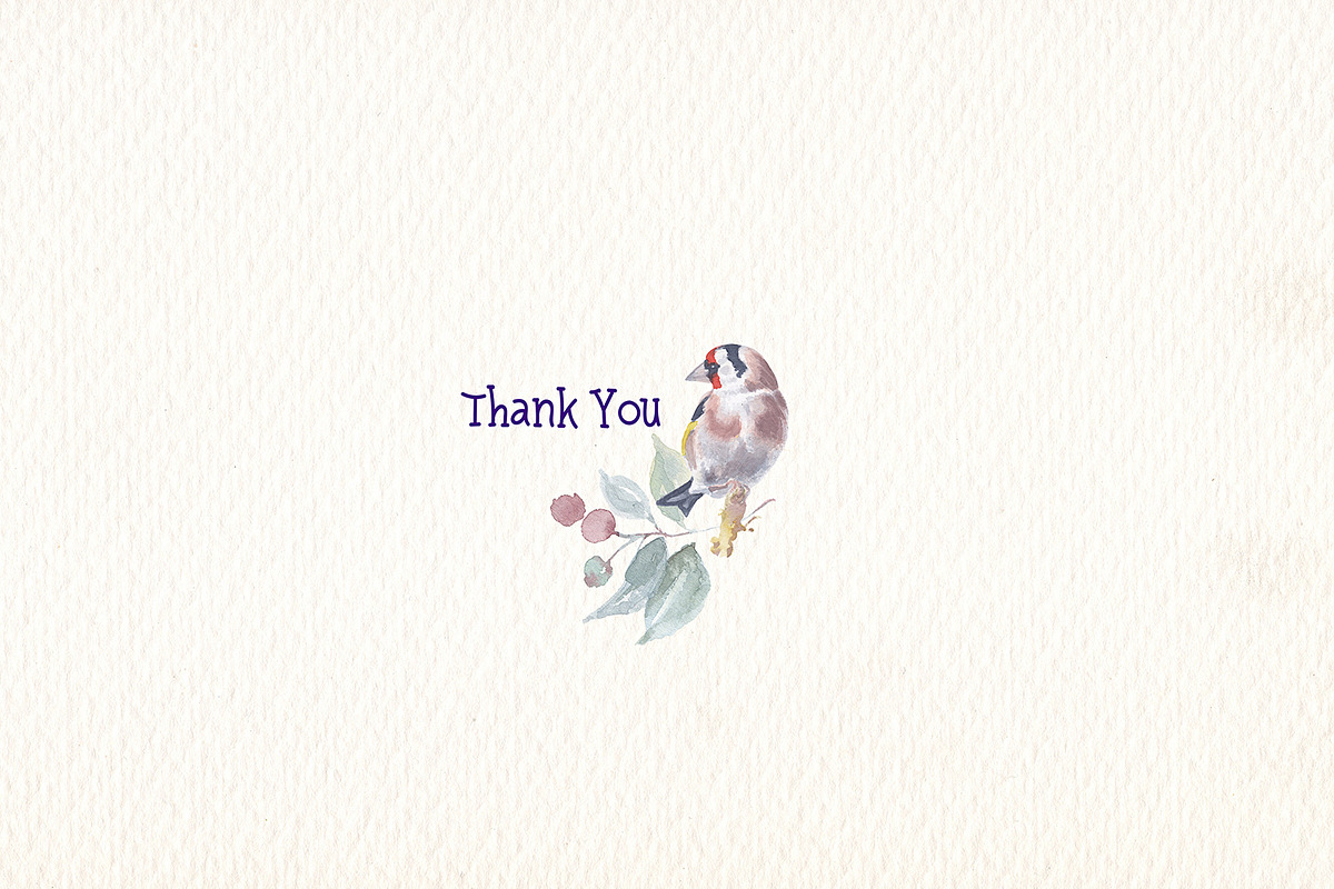 Garden birds watercolor clipart, an Animal Illustration by Art & Things (Photo 4 of 4)