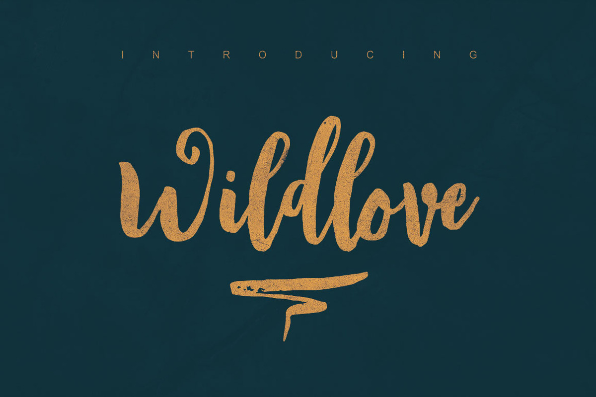 Wildlove Script Font preview 4