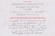 Charm Flora// Curly Font Set, a Handwritten Font by PeachCreme (Thumbnail 12 of 18)