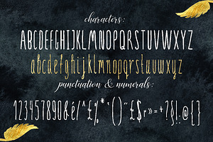 SERENA Gold. Fine Art Font .