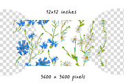 Hand Drawn Crayon Wildflowers, a Pattern Graphic by Lucyinyourheart (Thumbnail 3 of 10)