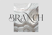 Lionary Modern Serif Font, a Serif Font by Dylla_studio (Thumbnail 4 of 11)