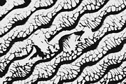 Scales and Fur, a Texture Graphic by Jennifer Lauren Creative (Thumbnail 21 of 26)
