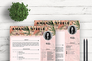 Flamingo CV / Resume Template / N