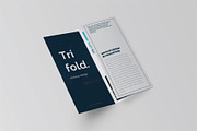 Trifold Brochure Mock-Up Set, a Print Template by Mockstore (Thumbnail 3 of 11)