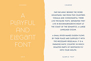 Charoe Typeface + Extras, a Font by Heritage Type Co. (Thumbnail 5 of 17)