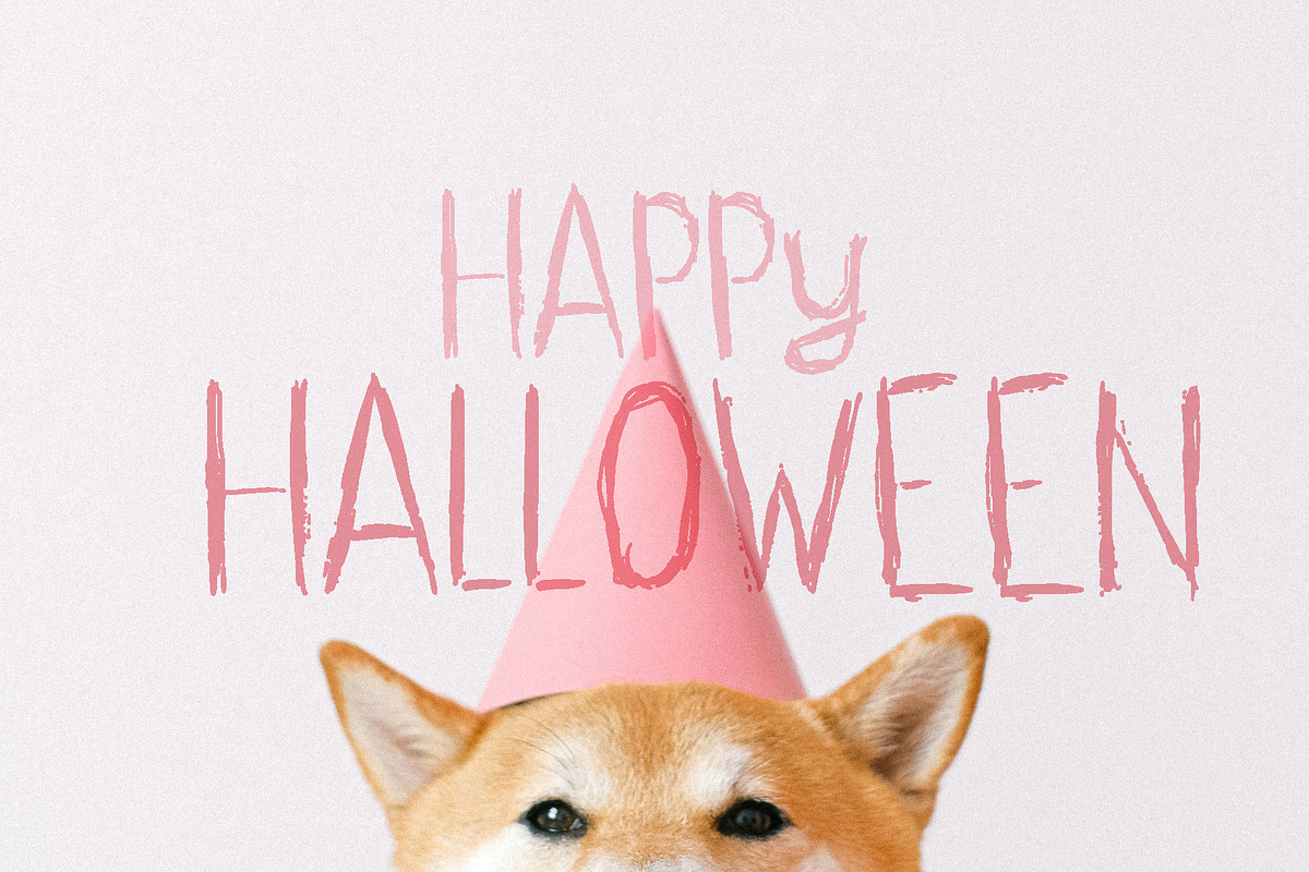 Halloween. Handwritten font, a Script Font by Sergey Mironov's store (Photo 5 of 5)