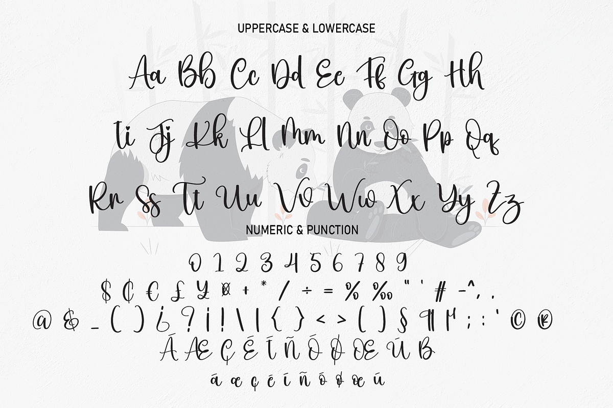 Panda | Script Font, a Script Font by Scratchones (Photo 6 of 8)