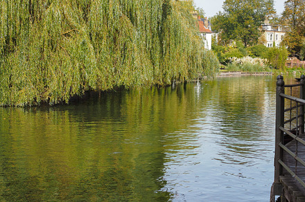 River Cam in Cambridge, a Photo by WorldPhotos