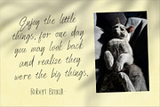 Royal Moorbe - Beautiful Font Duo, a Serif Font by PuriCreative (Thumbnail 4 of 9)