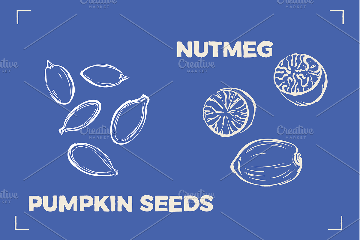 NUTS LINE ART SET (15+ elements), a Food Illustration by Bonfloret Studio (Photo 9 of 10)