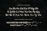 Transcity - A Playful Serif, a Serif Font by Dharmas Foundry (Thumbnail 13 of 16)