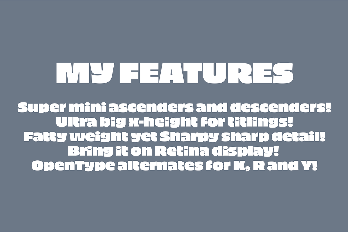 Piepie, a Font by Dharma Type (Photo 3 of 4)