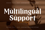 Neraphic A Modern Serif Font, a Serif Font by Storytype Studio (Thumbnail 12 of 15)