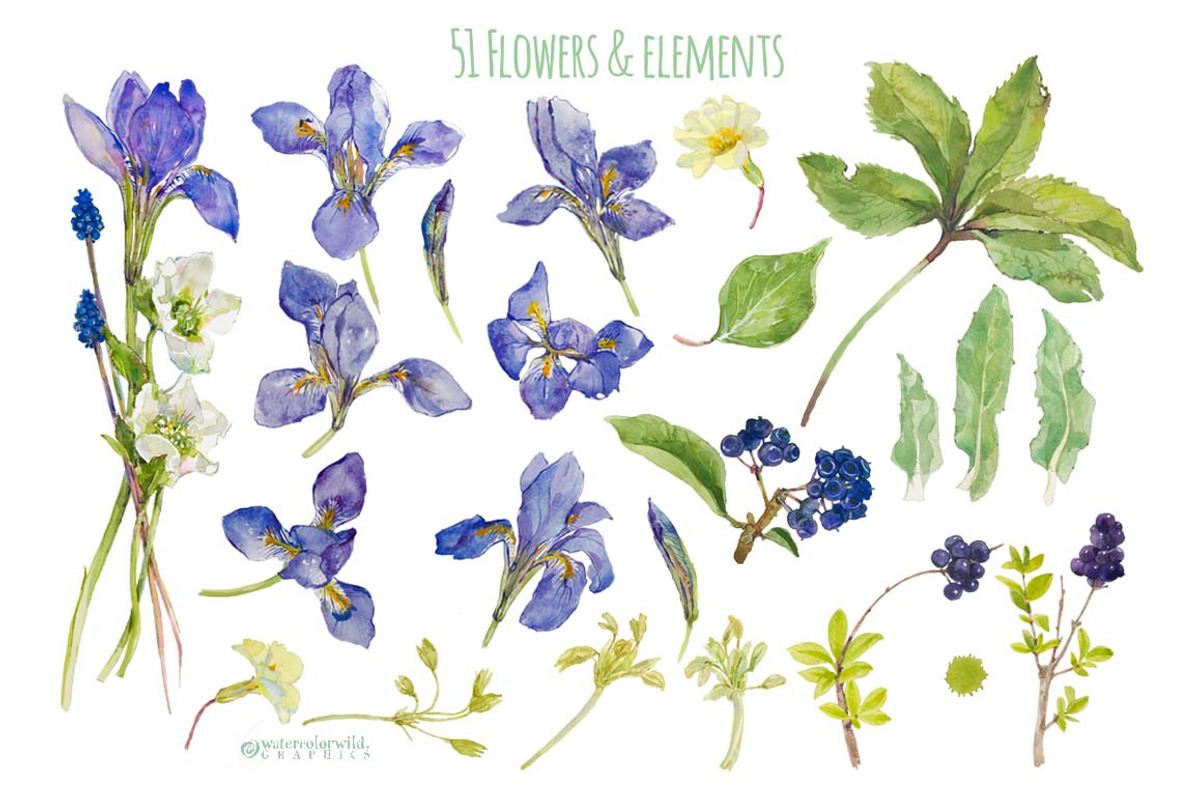 Shades of Blue-watercolorBundle, an Illustration by watercolorwild.graphics (Photo 7 of 11)