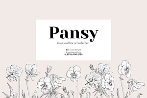 Vintage Pansy Flower Line Art