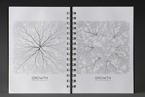 Growth Textures 3