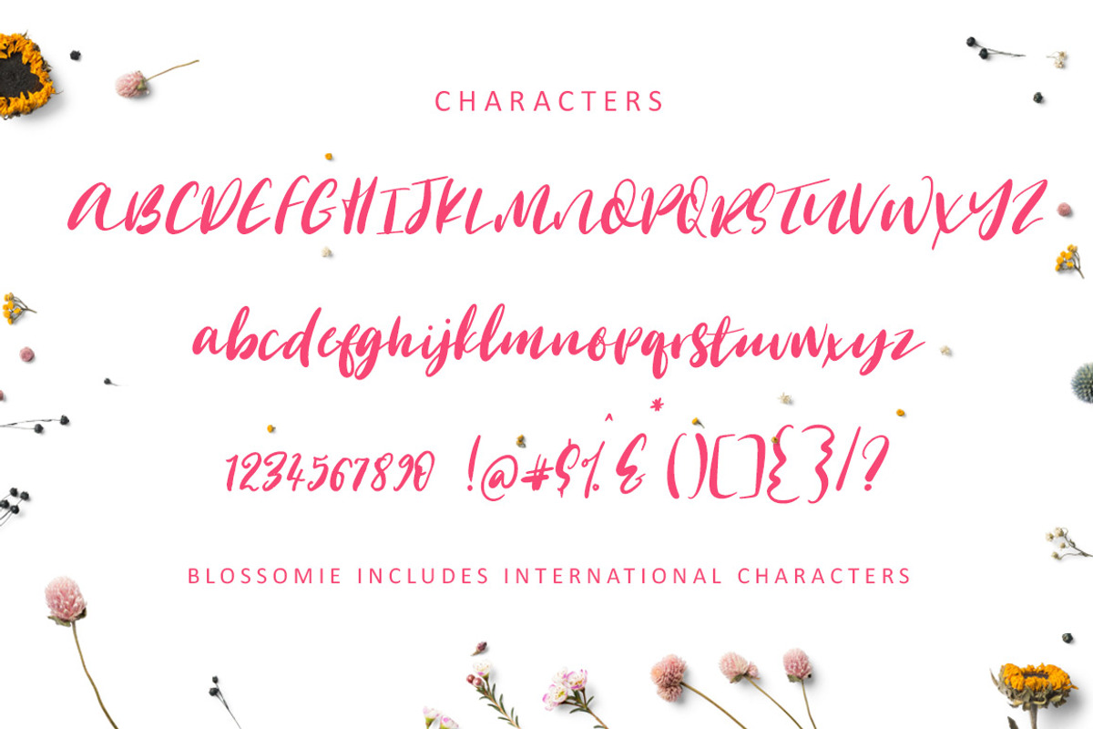 Blossomie Script Font preview 5