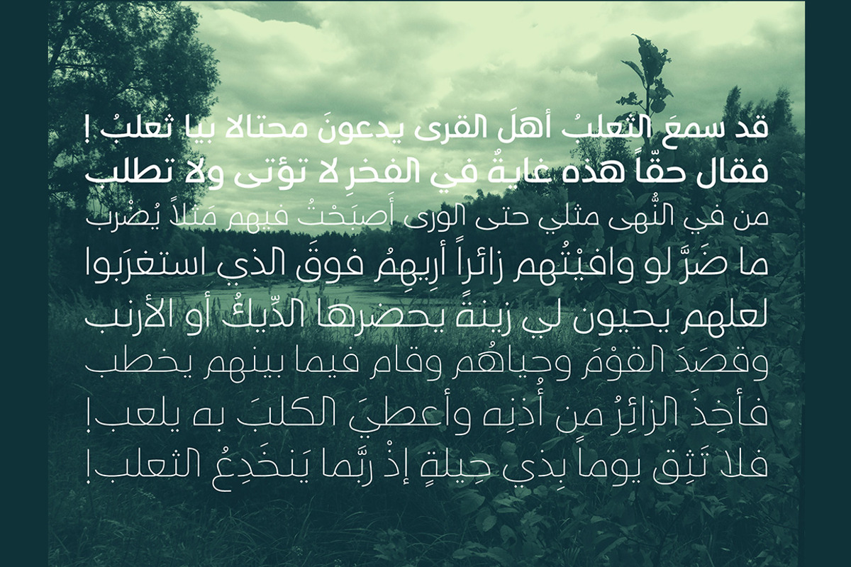 Taleeq - Arabic Typeface | خط طليق preview 3
