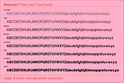 Binocular Sans Font Family, a Sans Serif Font by IRL by Outfit (Thumbnail 5 of 26)