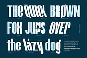 MN Raghford - Condensed Sans Serif, a Sans Serif Font by Mantra Naga (Thumbnail 11 of 17)