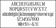 Soup and Salad JNL, a Serif Font by Jeff Levine Fonts (Thumbnail 3 of 5)