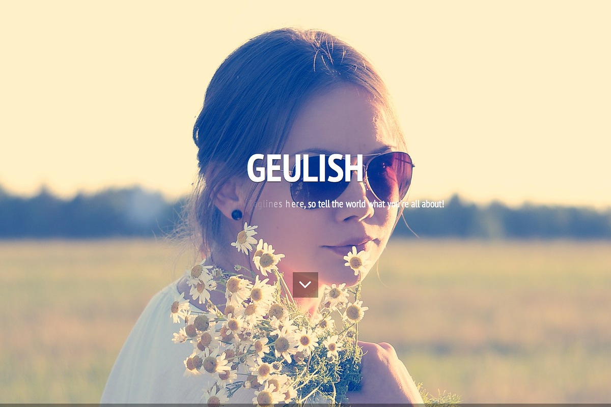 Geulish Onepage Model Agency Theme, a WordPress Template by Tetuko Themes (Photo 2 of 5)