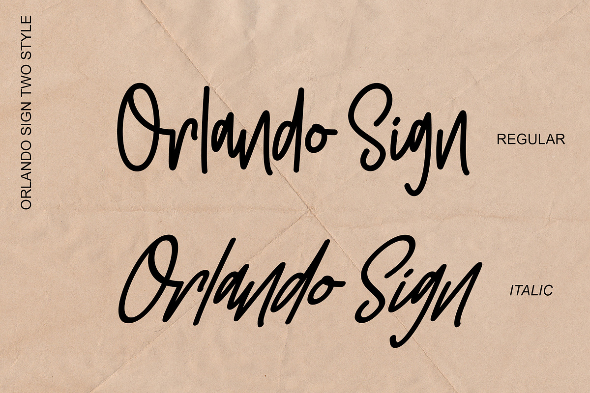 Orlando Sign | Stylishtic Monoline preview 8