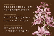 Barabella Modern Elegant Font, a Serif Font by Rasio Studio (Thumbnail 2 of 7)