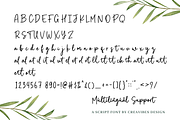 Party Script - A Handwritten Font, a Script Font by Creavibes Design (Thumbnail 13 of 13)