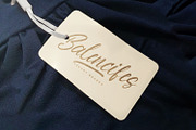 Anthony Louis - Modern Script Font, a Script Font by StringLabs (Thumbnail 7 of 11)