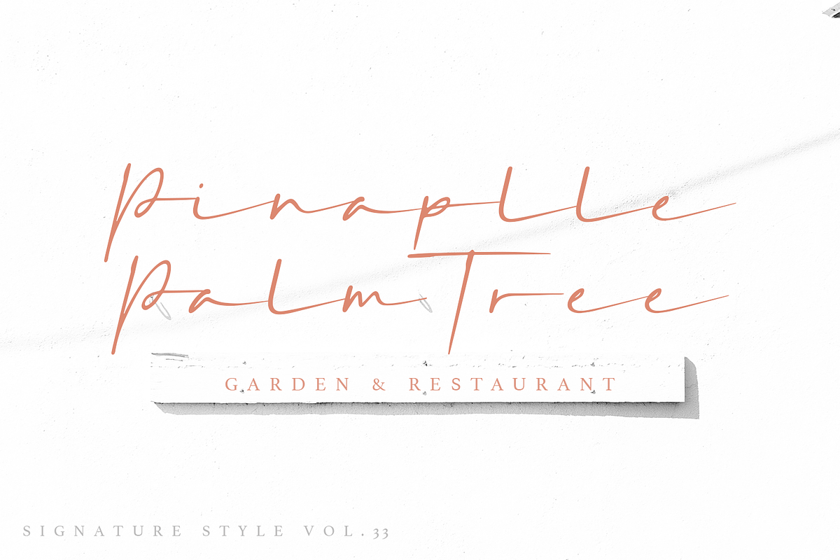 Silver Sands - Signature Font, a Script Font by Megi Satyo Widodo (Photo 6 of 15)
