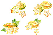 Watercolor tropical fruits., an Illustration by TaPilipa (Thumbnail 9 of 39)