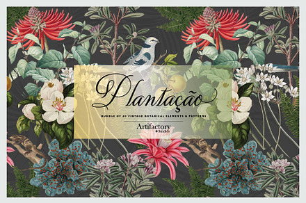 Plantação Botanical Elements I PNG