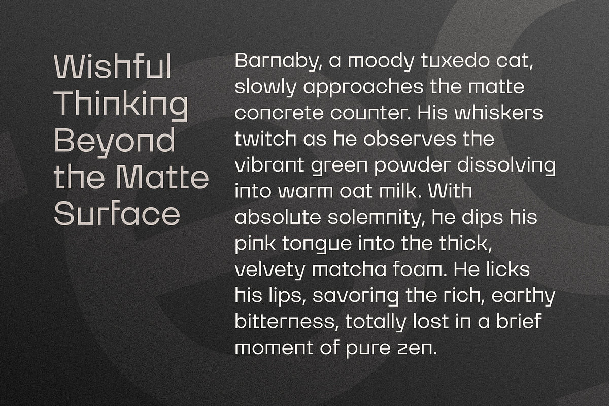 Magnes Font Family, a Sans Serif Font by Arbuz (Photo 5 of 11)